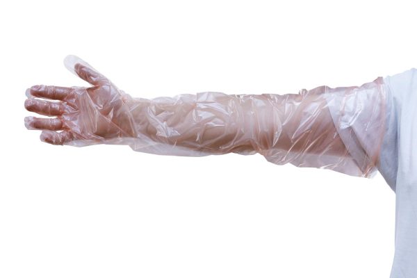 Artificial Insemination Gloves